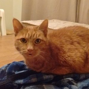 Meet your Posher, Kelly